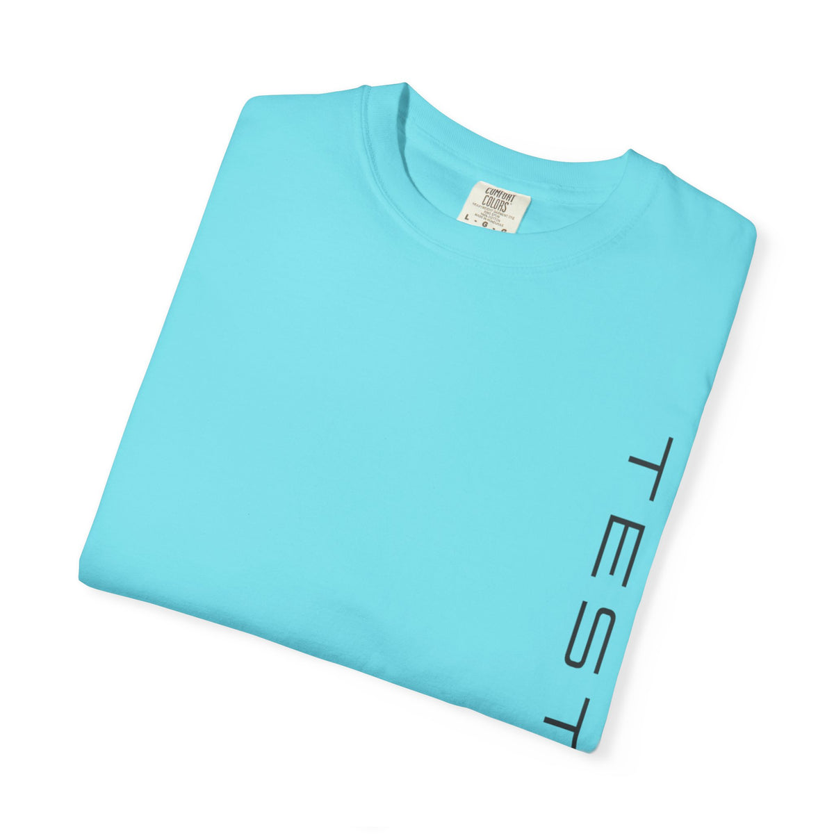 Heavyweight tee with a small green Testerz Face on the chest, alternate view