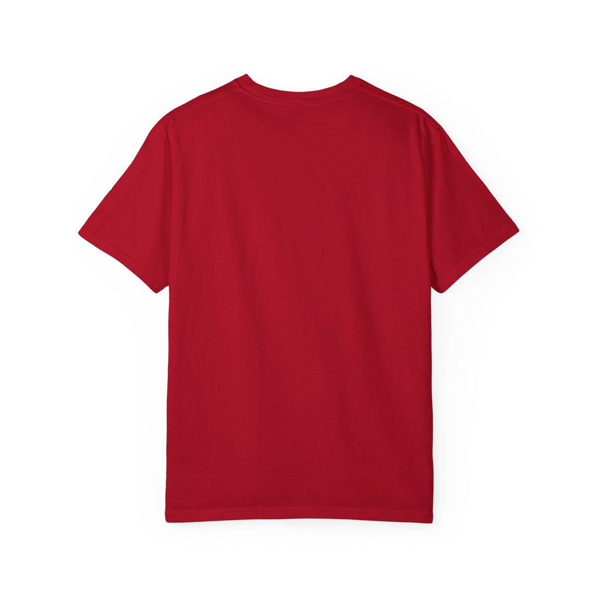 Heavyweight tee with a small green Testerz Face on the chest, alternate view
