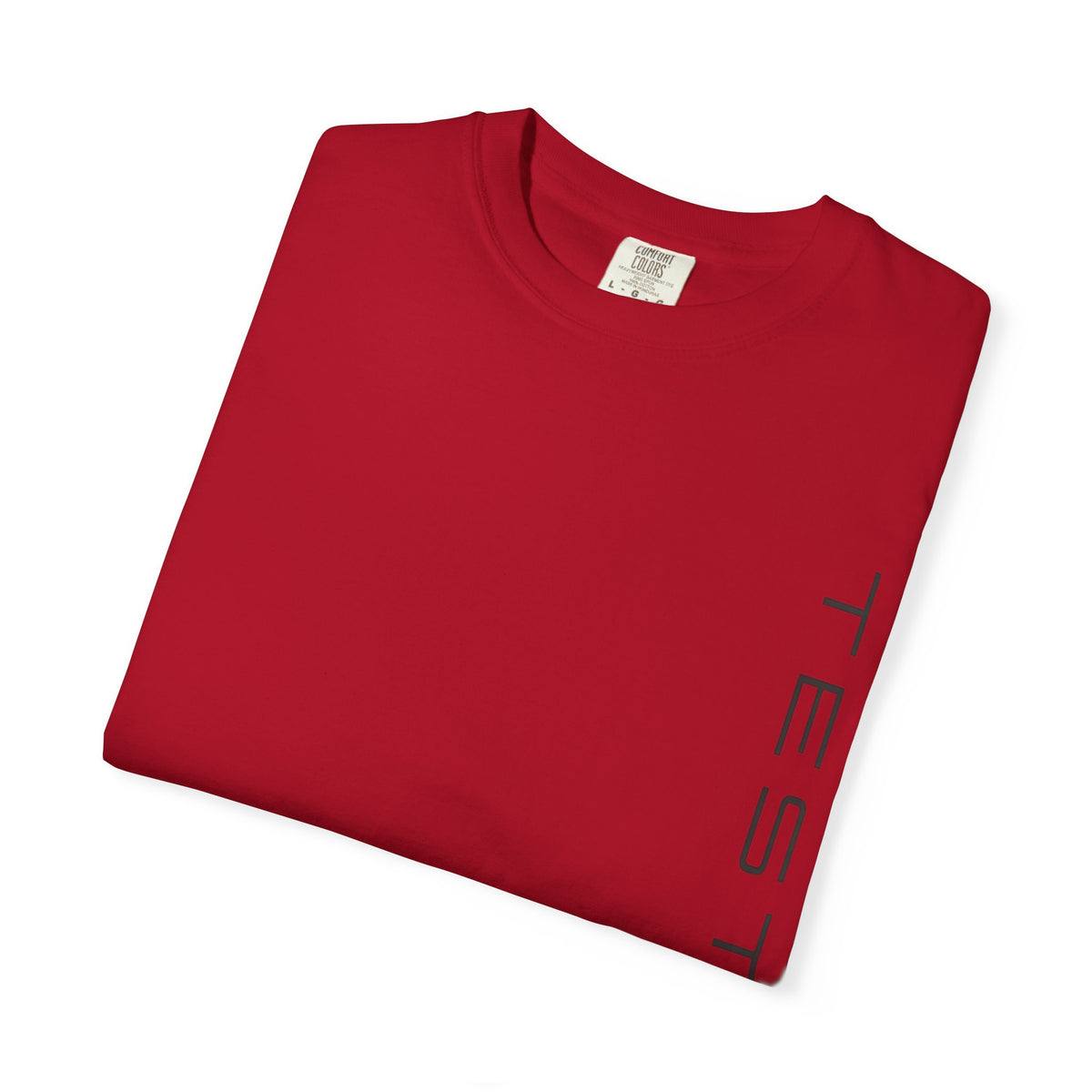 Heavyweight tee with a small green Testerz Face on the chest, alternate view